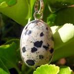Dalmatian Jasper Crystal Ge..