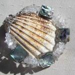 Abalone Shell & Clear Quart..