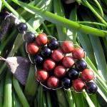 Red Jasper & Black Onyx - B..